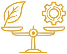 تعادل بین زیبایی و عملکرد